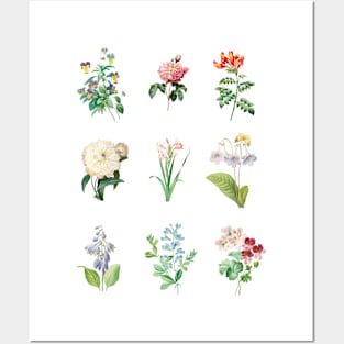 Vintage Floral Posters and Art